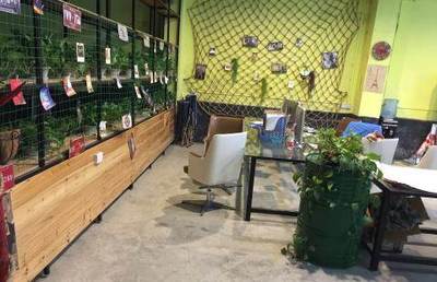 柳北北雀路商铺出租 卿家油茶馆旁位置优、客流旺